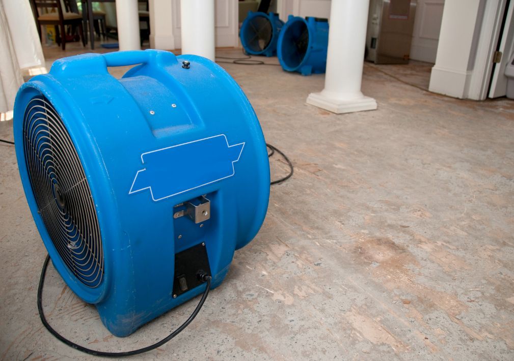 What Is The Average Cost Of Water Damage Restoration In Lees Summit Mo