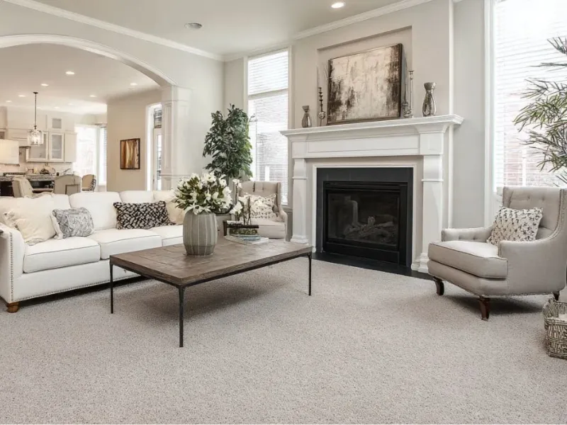 South Njwhat Is The Average Cost Of Carpet Cleaning Services In South Nj