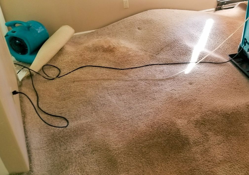 What Is The Average Cost Of Water Damage Restoration In Fort Myers Fl