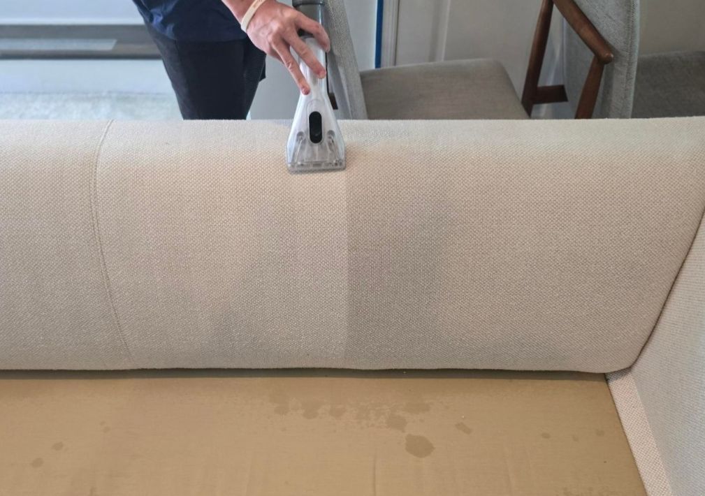 What Is The Average Cost Of Upholstery Cleaning In Iona Fl