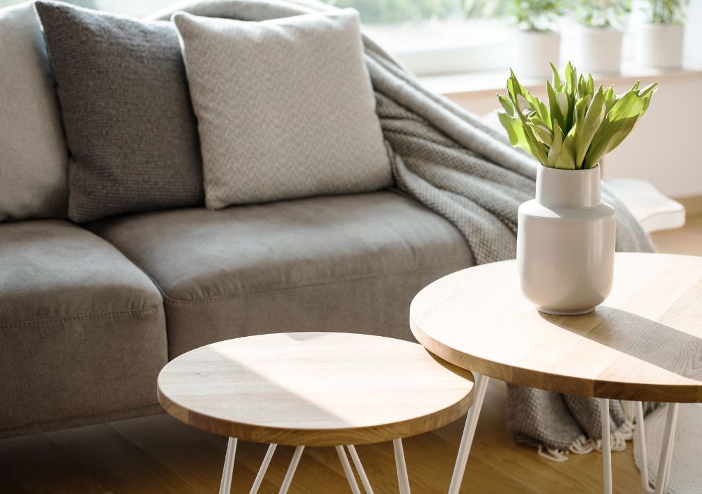 What Is The Average Cost Of Odor Removal In Palmona Park Fl
