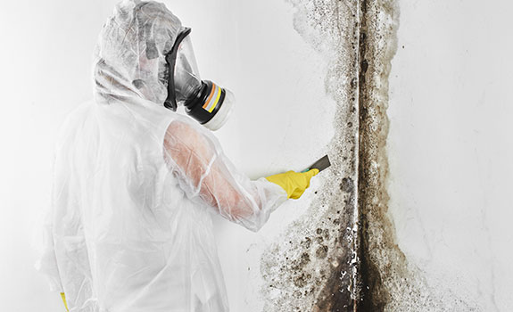 Mold Mitigation