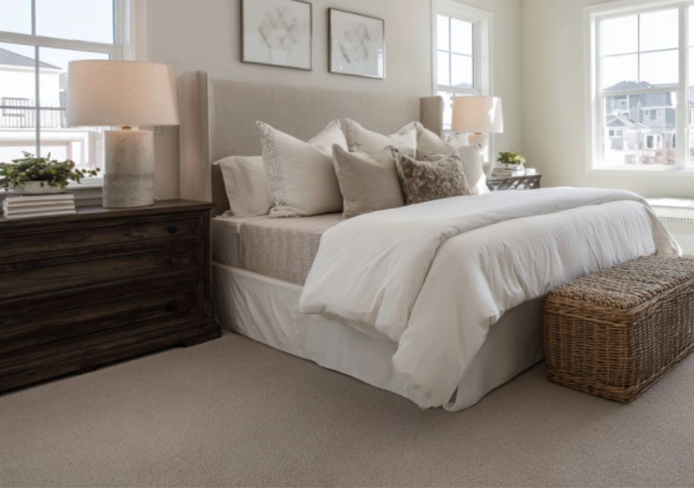 What Is The Average Cost Of Carpet Cleaning In Marco Island Fl