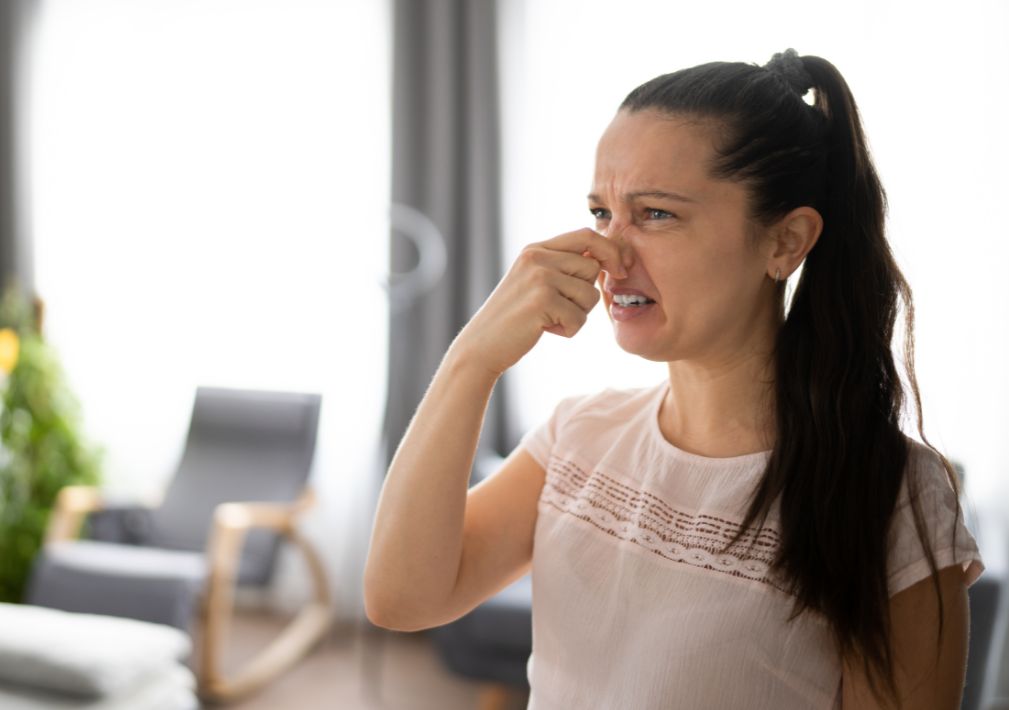 What Is The Average Cost Of Odor Removal In Bonita Springs Fl