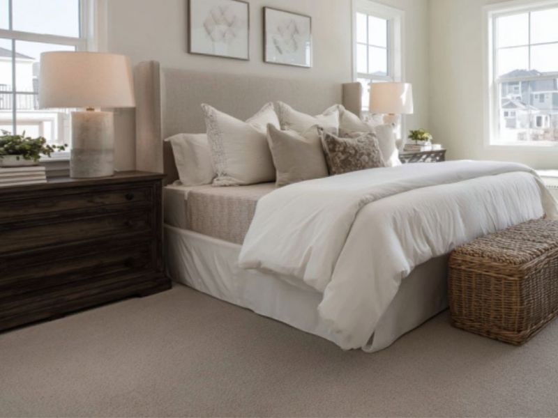 What Is The Average Cost Of Carpet Cleaning In Marco Island Fl