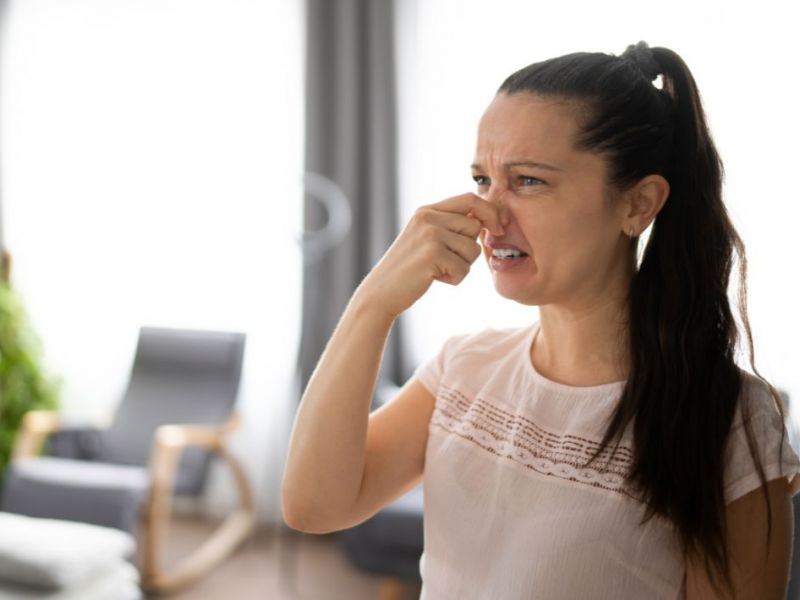What Is The Average Cost Of Odor Removal In Bonita Springs Fl