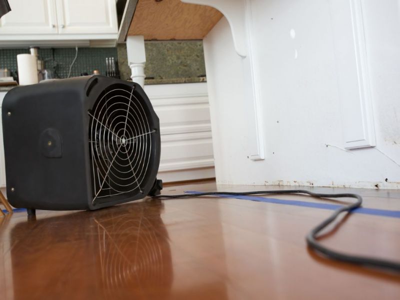 What Is The Average Cost Of Water Damage Restoration In Wilton