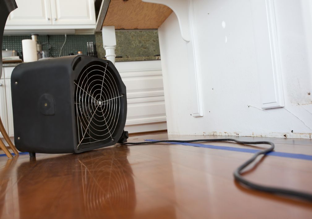 What Is The Average Cost Of Water Damage Restoration In Wilton