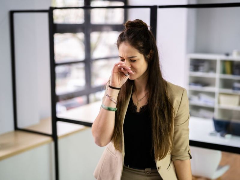 What Is The Average Cost Of Odor Removal In Cornwall Bridge Ct