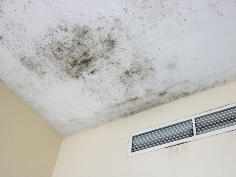What Is The Average Cost Of Mold Remediation In New Fairfield Ct