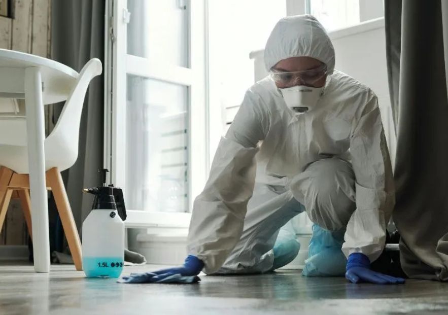 What Is The Average Cost Of Biohazard Cleanup In Moultrie Ga