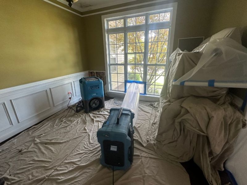 What Is The Average Cost Of Mold Remediation In Cairo Ga