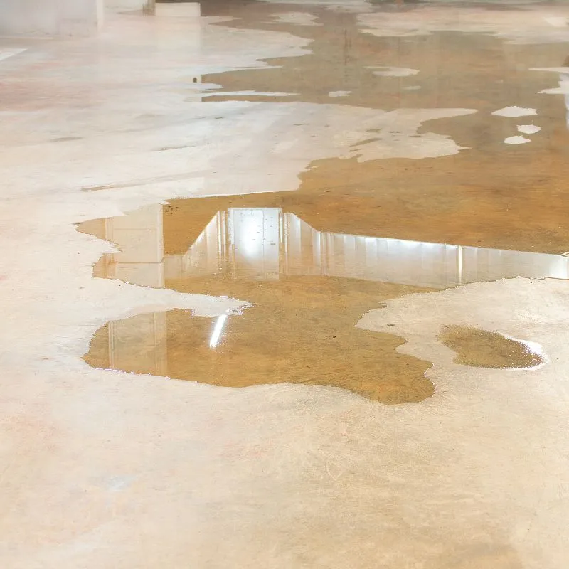 Professional Commercial Sewage Damage Cleaning Service In Albany, GA