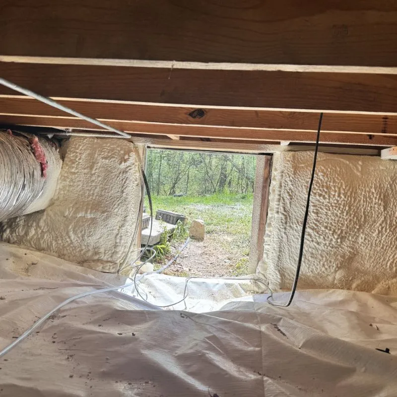 Professional Crawl Space Vapor Barrier Installation Service In Boston, GA