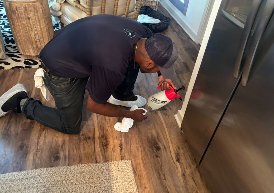 What Is The Average Cost Of Odor Removal In Quitman Ga