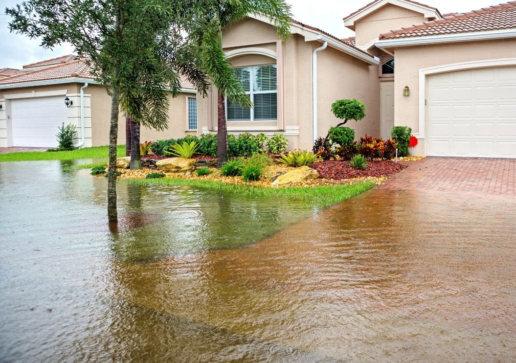 What Is The Average Cost Of Storm Damage Restoration In Dunedin Fl
