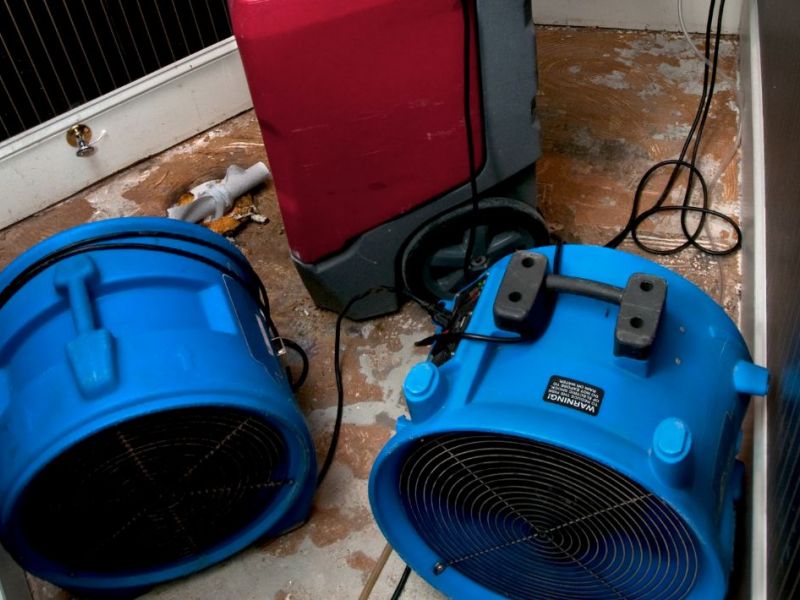 What Is The Average Cost Of Water Damage Restoration In Oldsmar Fl