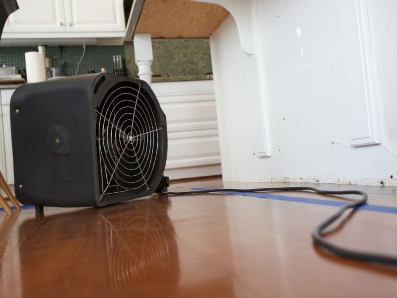 What Is The Average Cost Of Water Damage Restoration In Indian Rocks Beach