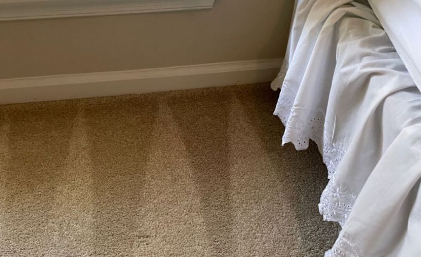 What Is The Average Carpet Cleaning In Toledo Oh