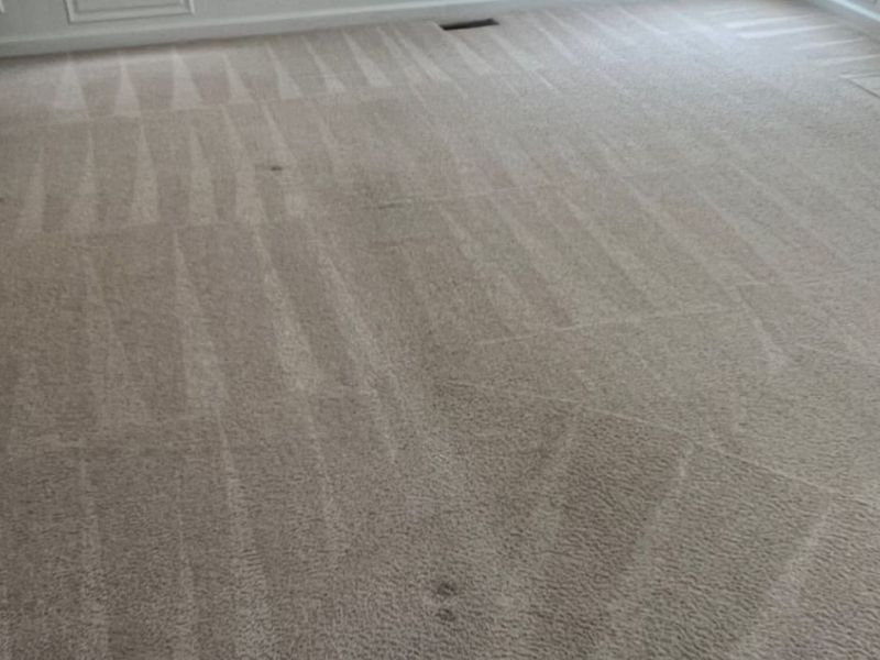 What Is The Average Cost Of Carpet Cleaning In Egg Harbor Nj
