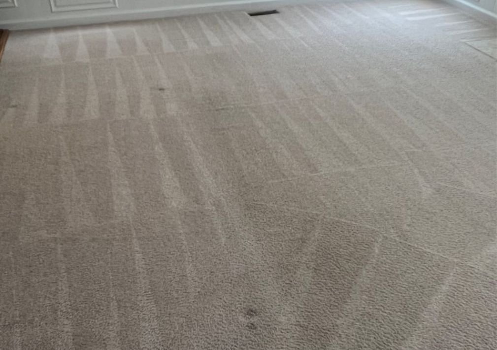 What Is The Average Cost Of Carpet Cleaning In Egg Harbor Nj