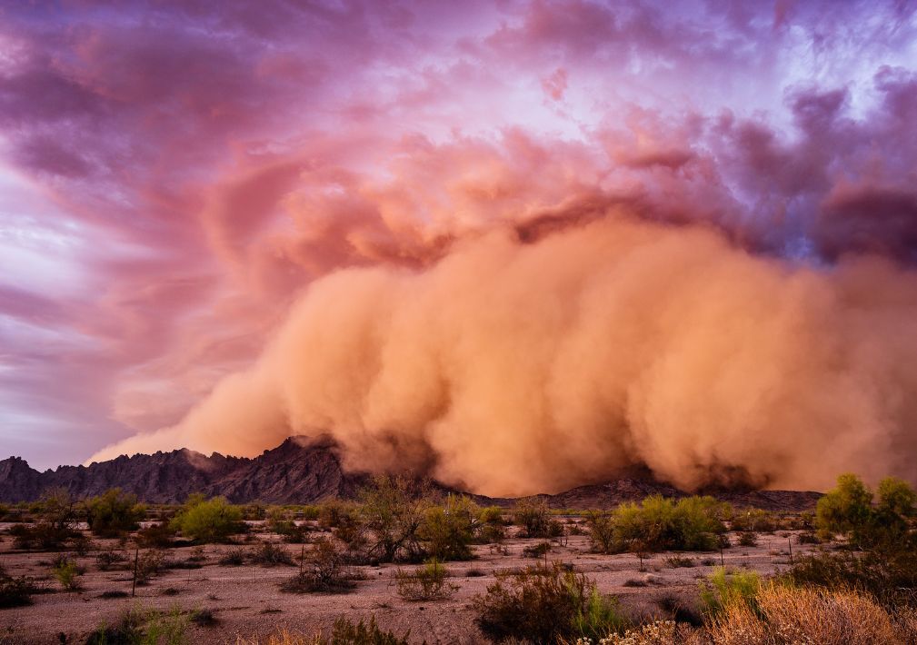 What Is The Average Cost Of Storm Damage Restoration In Casas Adobes