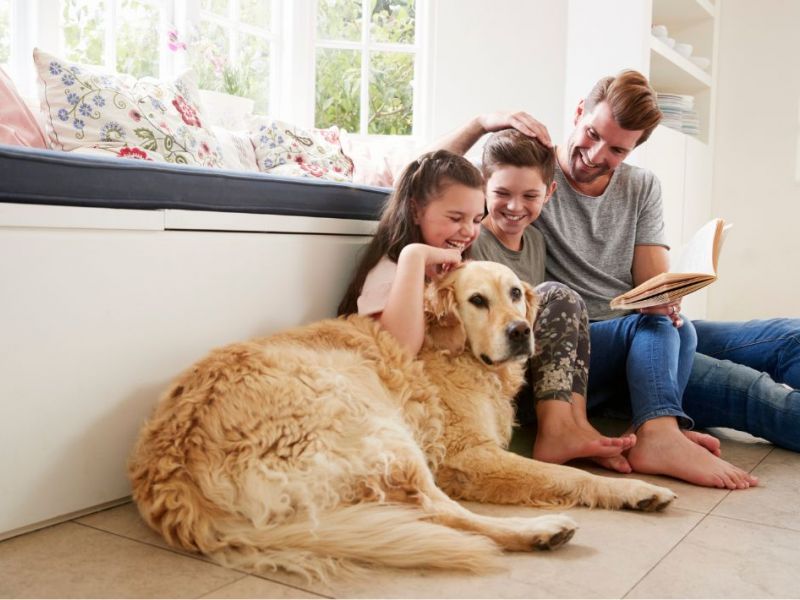 What Is The Average Cost Of Odor Removal In Carthage Tx