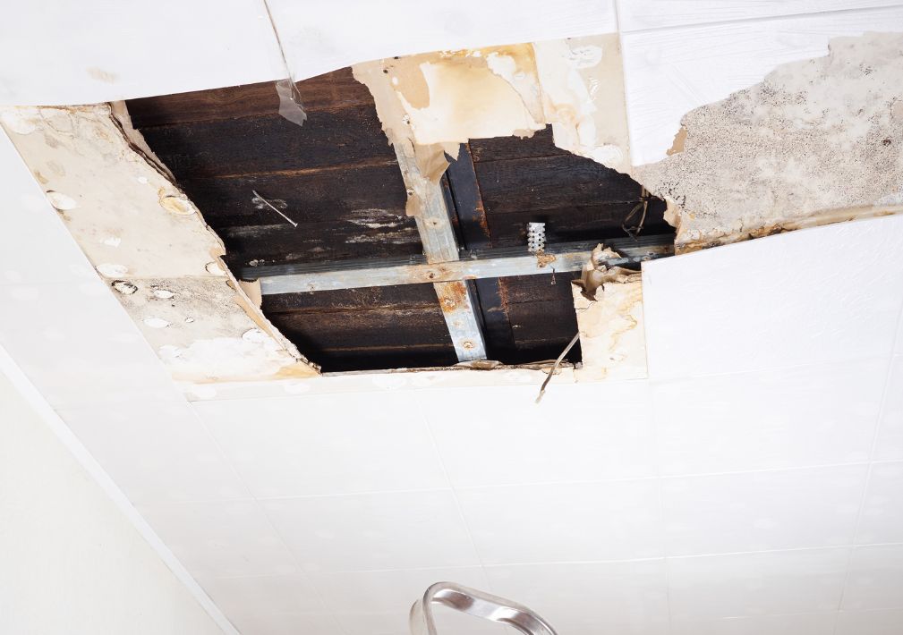 What Is The Average Cost Of Water Damage Restoration In Mineola