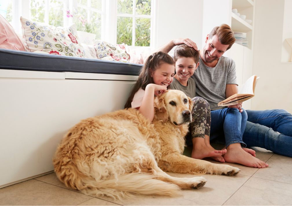 What Is The Average Cost Of Odor Removal In Carthage Tx