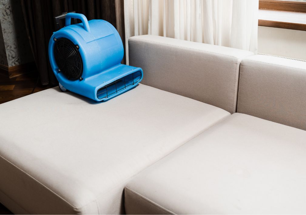 What Is The Average Cost Of Water Damage Restoration In Avinger Tx