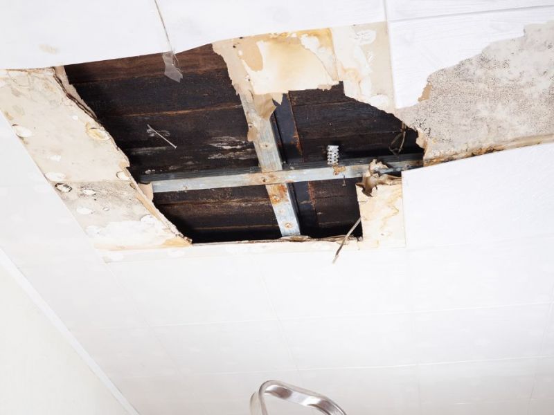 What Is The Average Cost Of Water Damage Restoration In Mineola