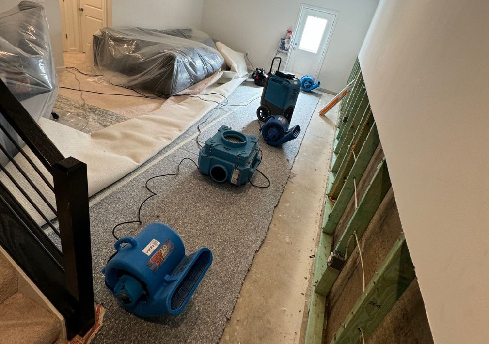 What Is The Average Cost Of Mold Remediation In George Mason