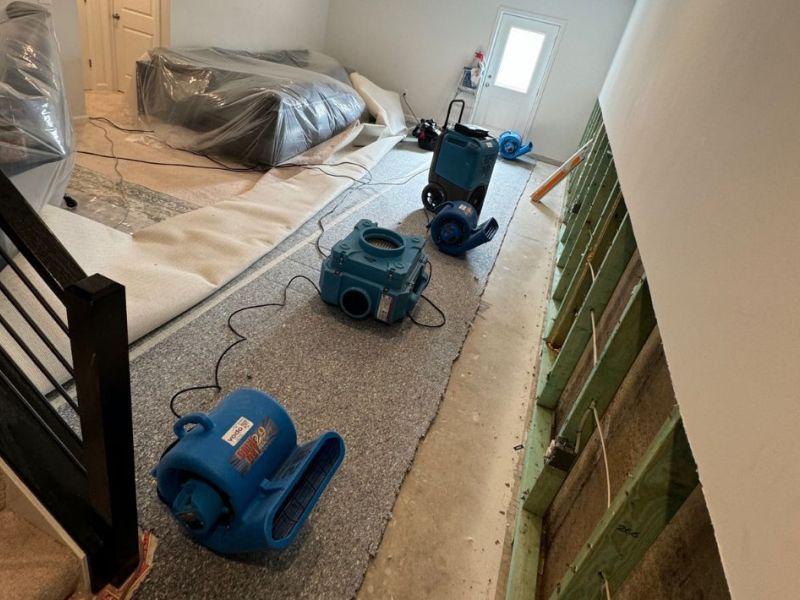 What Is The Average Cost Of Mold Remediation In George Mason