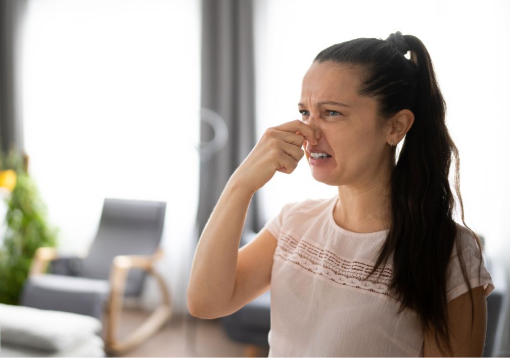 What Is The Average Cost Of Odor Removal In Mclean