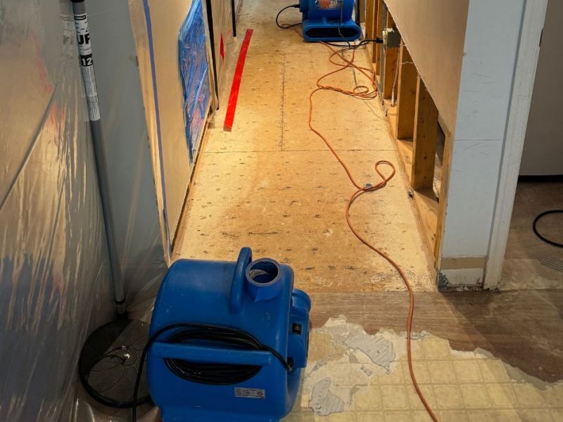 What Is The Average Cost Of Mold Remediation In Arlington