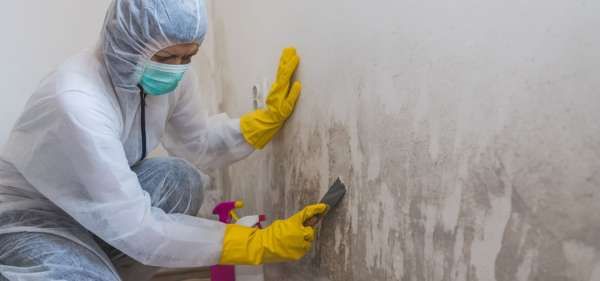 Voda Mold Remediation Services