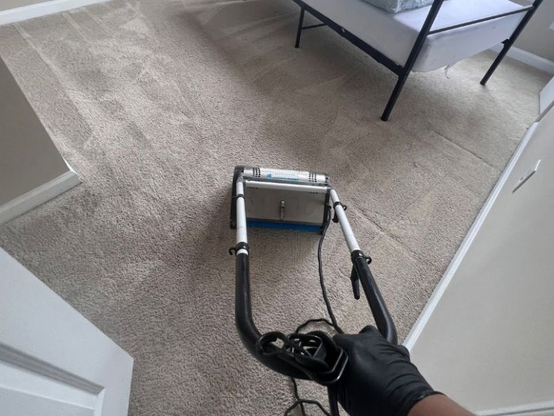 Whats The Average Cost Of Carpet Cleaning In Vienna Va