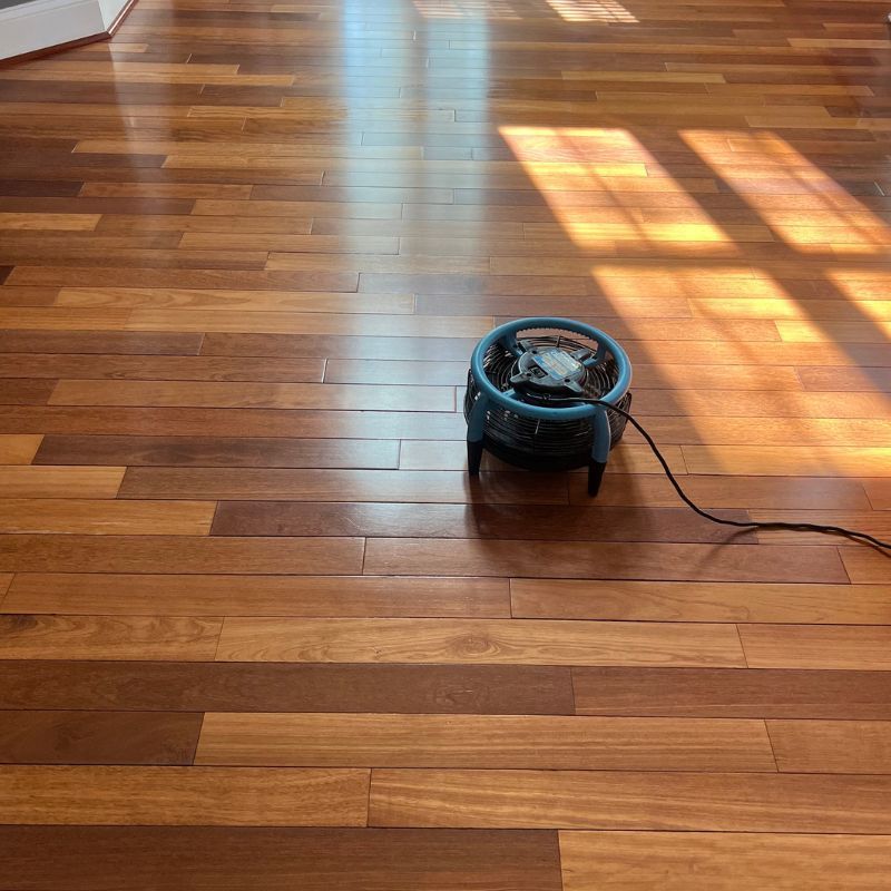 Hardwood Floor Cleaning Gallery 1