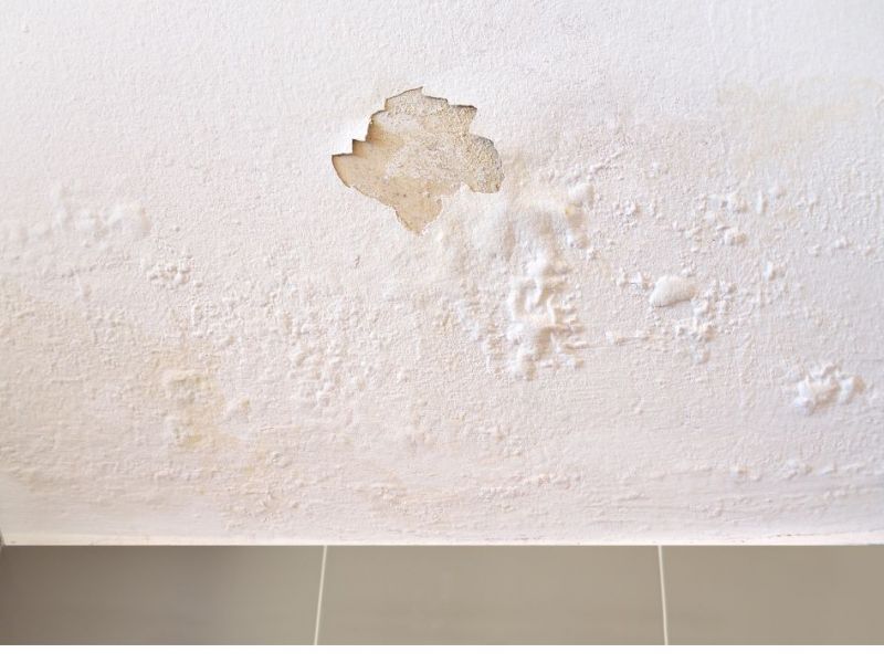 What Is Considered Significant Water Damage