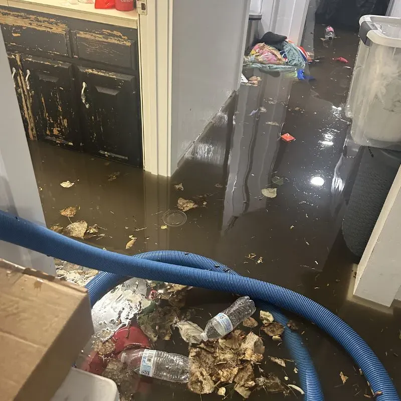 Professional Basement Flooding Restoration Service In Alexandria, VA