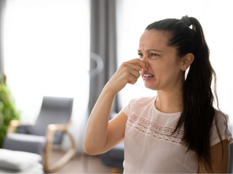 What Is The Average Cost Of Odor Removal In Mclean