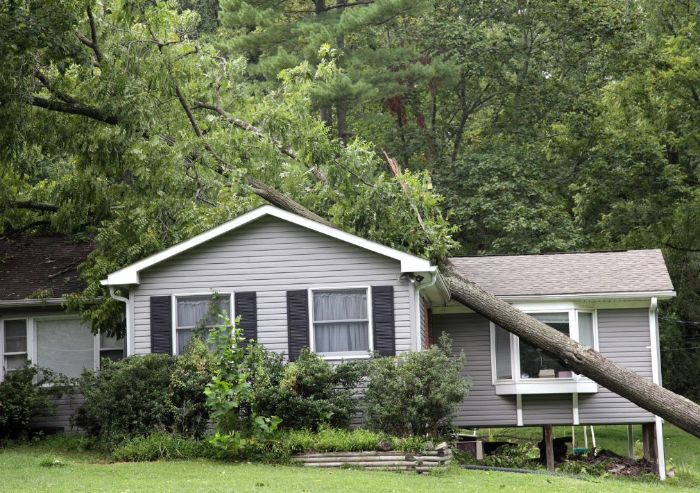 What Is The Average Cost Of Storm Damage Remediation In Oakton