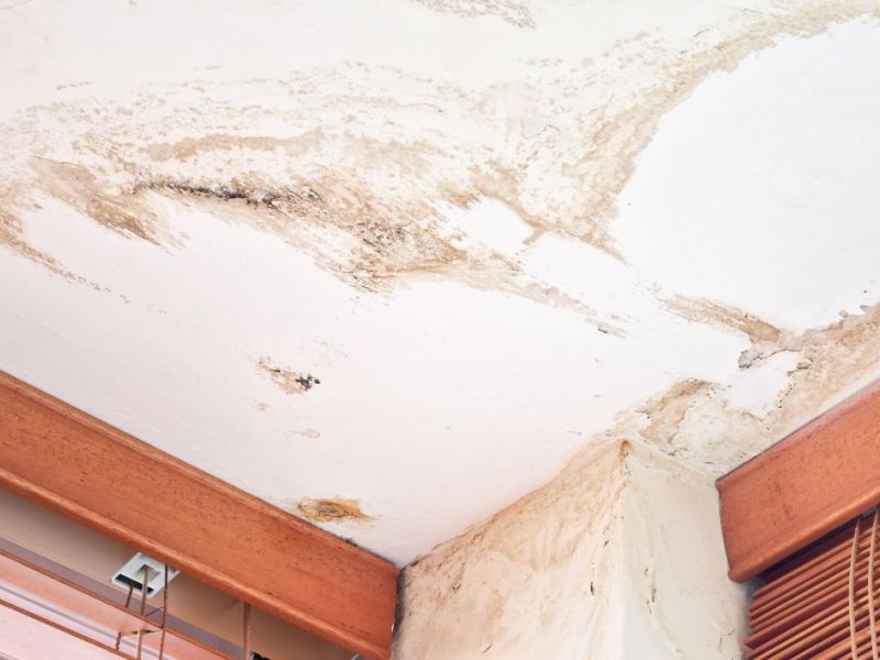 What Are The Top Signs Of Water Damage In Dc