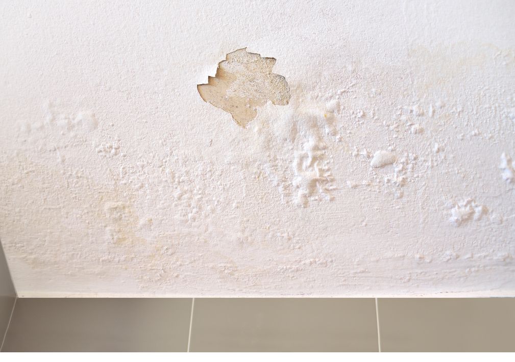What Is Considered Significant Water Damage