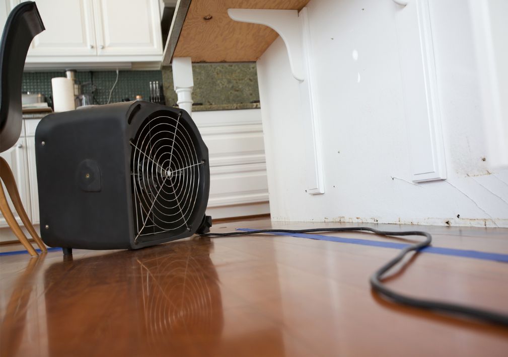 What Is The Average Cost Of Water Damage Restoration In Washington Dc