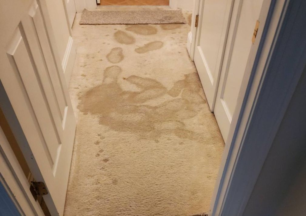 What Is The Average Cost Of Water Damage Restoration In Waco Tx