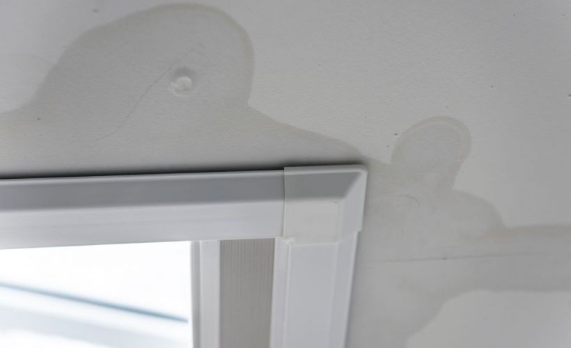 What Is The Average Cost Of Water Damage In Wesley Chapel Fl
