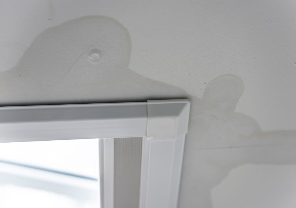 What Is The Average Cost Of Water Damage In Wesley Chapel Fl