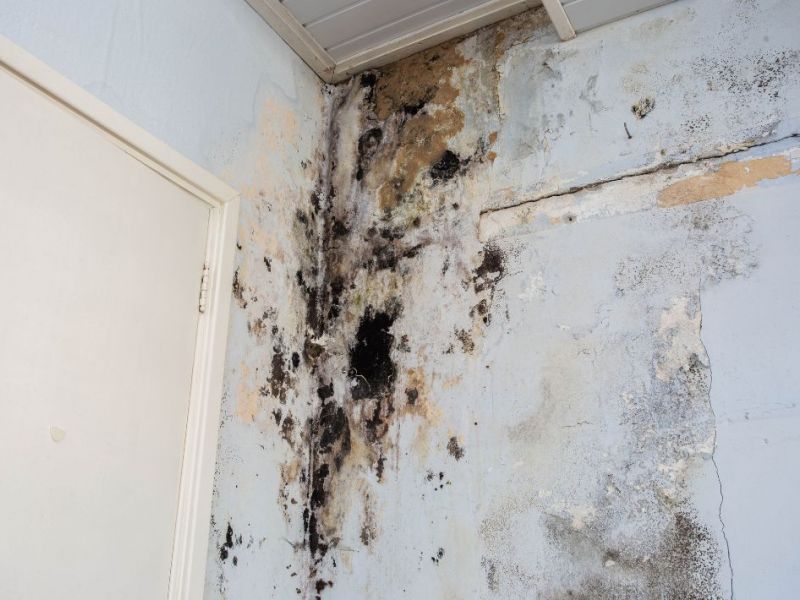 What Is The Average Cost Of Water Damage Restoration In Jonestown