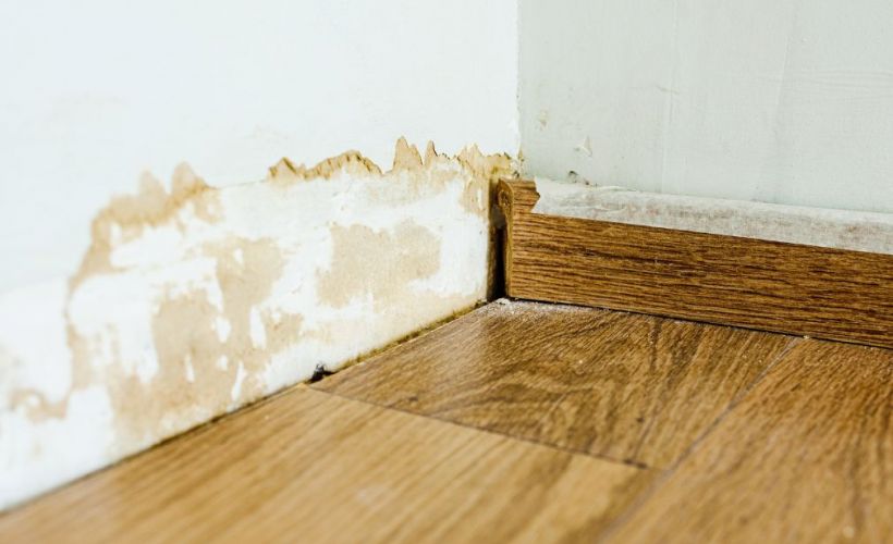 What Is The Average Cost Of Water Damage Restoration In Barton Creek Tx